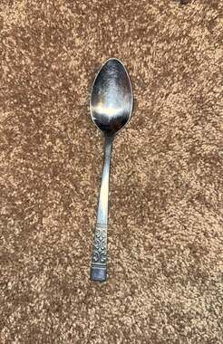 Stanley Roberts Rogers Casa Vista Stainless Steel Oval Soup Spoon